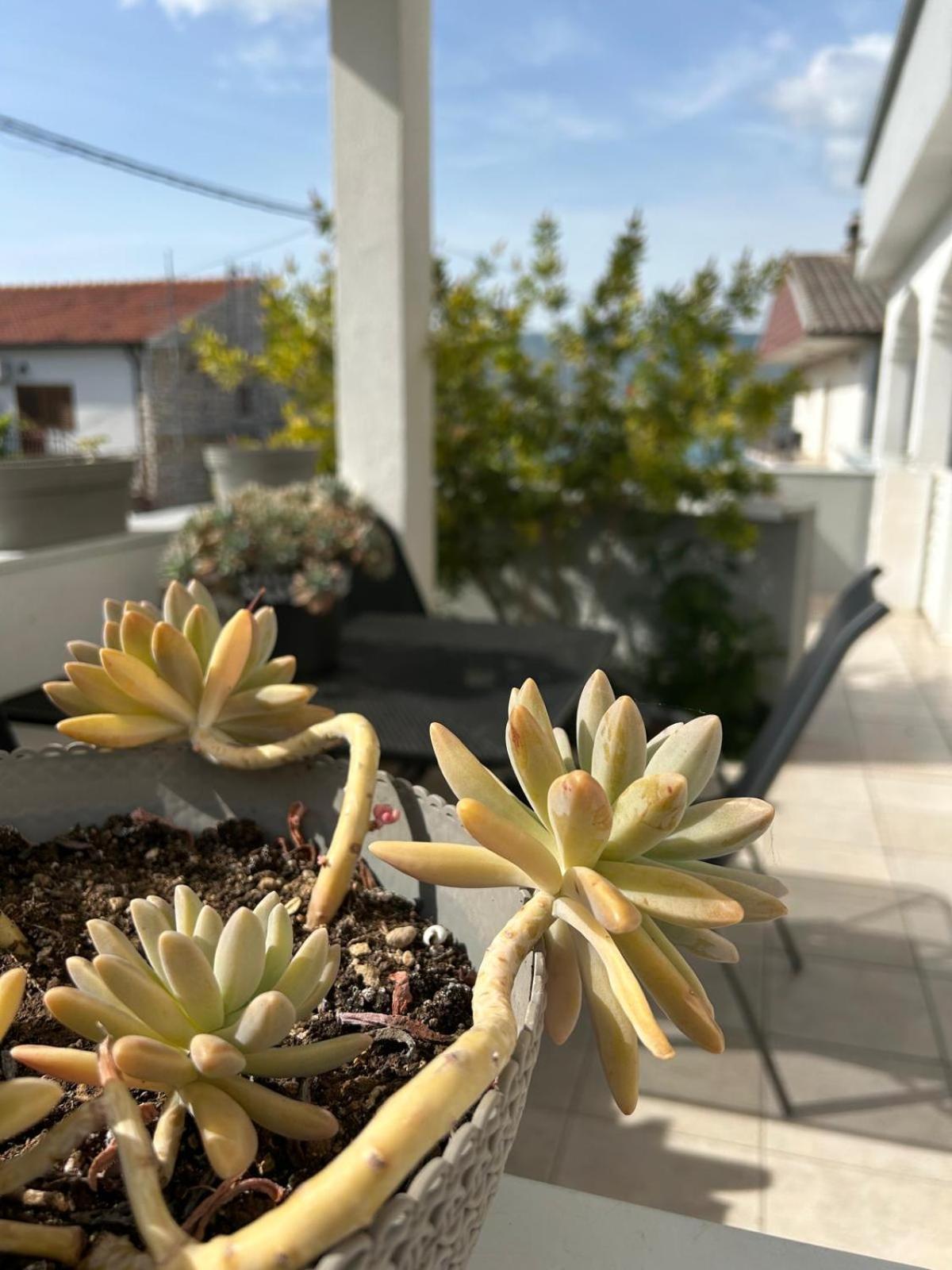 Apartmani Grgic Trogir Ngoại thất bức ảnh
